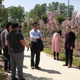 領(lǐng)導(dǎo)檢查